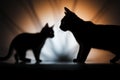 Lithe 3D kittys shadow elegantly rendered against backdrop in art Royalty Free Stock Photo