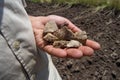 Lithic tools held in hand