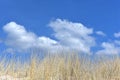 Lithuania landscape.Beautiful sand dunes near Baltic sea Royalty Free Stock Photo