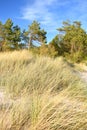 Lithuania landscape.Beautiful sand dunes near Baltic sea Royalty Free Stock Photo