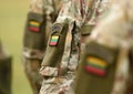 Lithuania patch flag on soldiers arm. Lithuanian military uniform. Lithuania troops Royalty Free Stock Photo