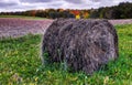 Lithuanian agriculture meadow in a autumn