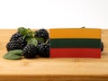 Lithuanian flag on a wooden panel with blackberries isolated on