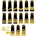 Lithuanian Navy insignia