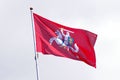 Lithuanian pesident flag Royalty Free Stock Photo