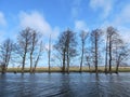 Lithuanian spring landscape