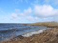 Lithuanian spring landscape