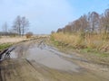 Lithuanian spring landscape