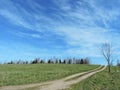 Lithuanian spring landscape