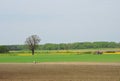 Lithuanian spring landscape Royalty Free Stock Photo