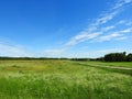 Lithuanian summer landscape