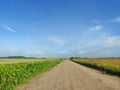 Lithuanian summer landscape