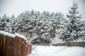 Rural scenic countryside in winter