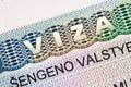 Lithuanian visa closeup
