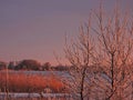 Lithuanian winter landscape