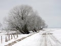 Lithuanian winter landscape