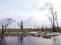 Lithuanian winter landscape Royalty Free Stock Photo