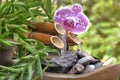 Litle decorative fountain and orchid in a garden Royalty Free Stock Photo