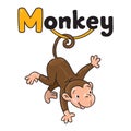 Litle funny monkey on lians. Alphabet M Royalty Free Stock Photo