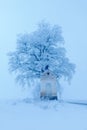 Litle old chapel and od tree with rime and snoow, foggy Christmas day near the road during winter Royalty Free Stock Photo