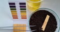 Litmus indicator for testing soil in laboratory Royalty Free Stock Photo