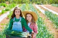 Litte kid farmer girls in onion harvest orchard Royalty Free Stock Photo