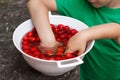 Litte kids eating cherry from bowl