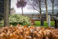 Litter bin or trash can in a park in Ballymoney, a city in Northern Ireland. Beautiful park, lets keep it clean using these litter Royalty Free Stock Photo