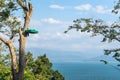 Litter for monkey on tree and beautiful sea view on vict