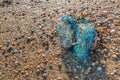 Litter washed up on the beach from close Royalty Free Stock Photo