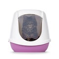 Litterbox with cat on white background Royalty Free Stock Photo