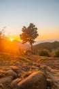 Little Adams Peak landscape during a stunning sunrise in Ella, Sri Lanka