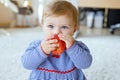 Little adorable baby girl eating big red apple. Vitamin and healthy food for small children. Portrait of beautiful child Royalty Free Stock Photo