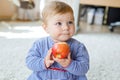 Little adorable baby girl eating big red apple. Vitamin and healthy food for small children. Portrait of beautiful child Royalty Free Stock Photo