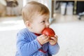 Little adorable baby girl eating big red apple. Vitamin and healthy food for small children. Portrait of beautiful child Royalty Free Stock Photo