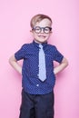 Little adorable boy in tie and glasses. School. Preschool. Fashion. Studio portrait over pink background