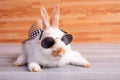 Little adorable bunny rabbit with sun glasses and hat stay on gray table with brown wood pattern as background Royalty Free Stock Photo