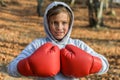 Little adorable girl child in a tracksuit, with a hood on his head, in red boxing gloves, boxing on the street in the autumn fores Royalty Free Stock Photo