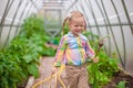 Little adorable girl with the harvest in a greenhouse Royalty Free Stock Photo