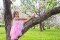 Little adorable girl sitting on blossoming apple Royalty Free Stock Photo