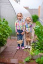 Little adorable girls with the basket of harvest in a greenhouse Royalty Free Stock Photo