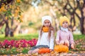 Little adorable girls with pumpkin outdoors on a warm autumn day. Royalty Free Stock Photo