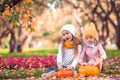 Little adorable girls with pumpkin outdoors on a warm autumn day. Royalty Free Stock Photo