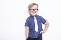 Little adorable kid in tie and glasses. School. Preschool. Fashion. Studio portrait isolated over white background Royalty Free Stock Photo