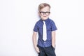 Little adorable kid in tie and glasses. School. Preschool. Fashion. Studio portrait isolated over white background Royalty Free Stock Photo