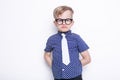 Little adorable kid in tie and glasses. School. Preschool. Fashion. Studio portrait isolated over white background Royalty Free Stock Photo