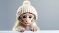 A little adorable monkey wearing a knitted hat with a fur pompom on its head