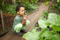 Little african american kid boy look at plant using magnifier Royalty Free Stock Photo