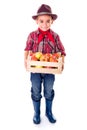 Little agriculturist boy holding apples in crate