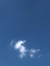 little airplane in the beautiful blue sky